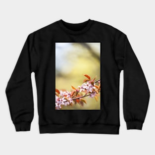 Cherry Blossom Crewneck Sweatshirt